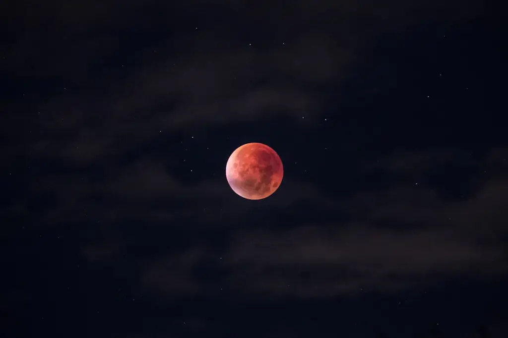 金牛生日：歡慶忠實、穩定與勤勞的星座